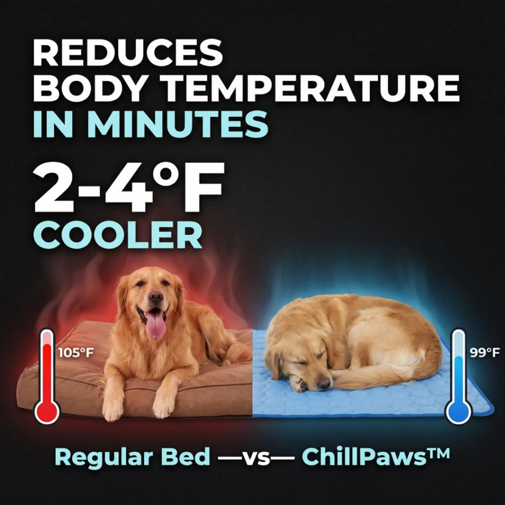 Chillpaws Cooling Mat (Official Retailer) [year]